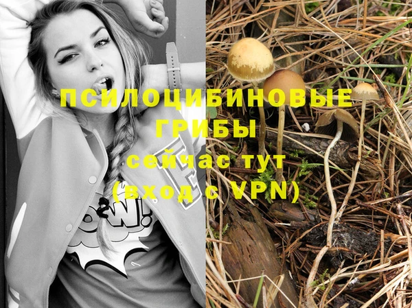 экстази Каменногорск