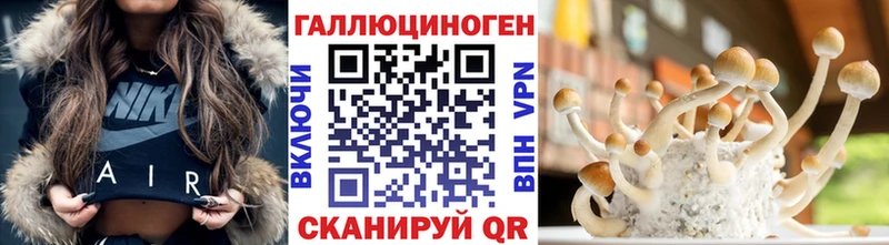 ссылка на мегу ссылки  Сольцы  Галлюциногенные грибы Psilocybine cubensis 