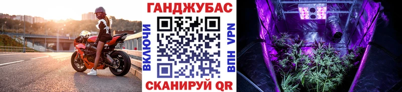 Марихуана планчик  Сольцы 